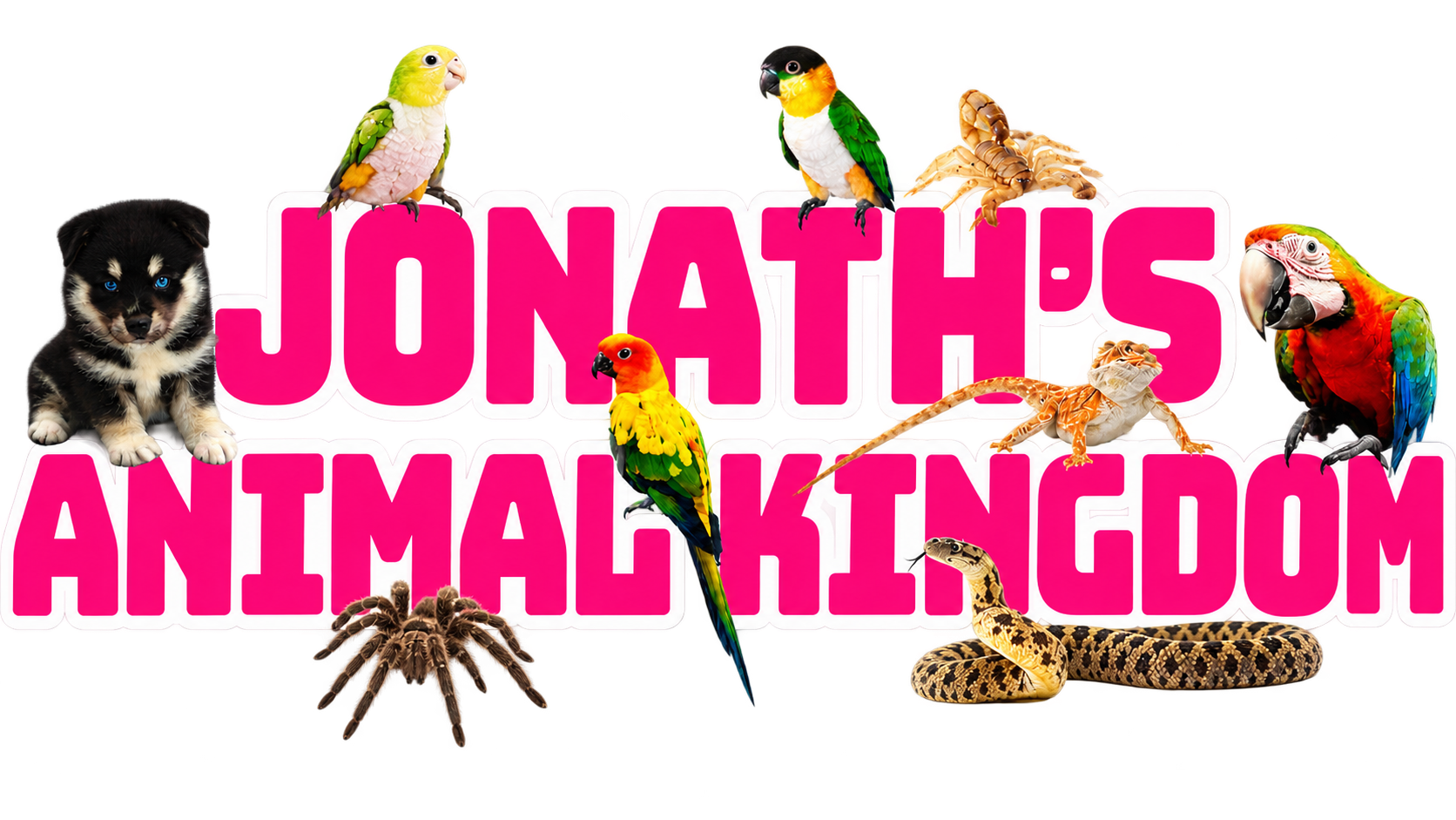 Jonath’s Animal Kingdom